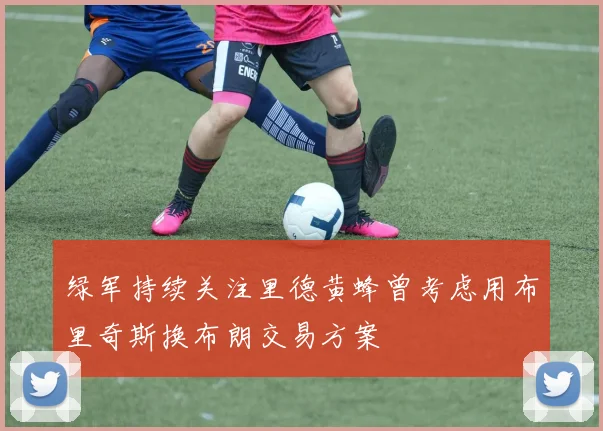 绿军持续关注里德黄蜂曾考虑用布里奇斯换布朗交易方案